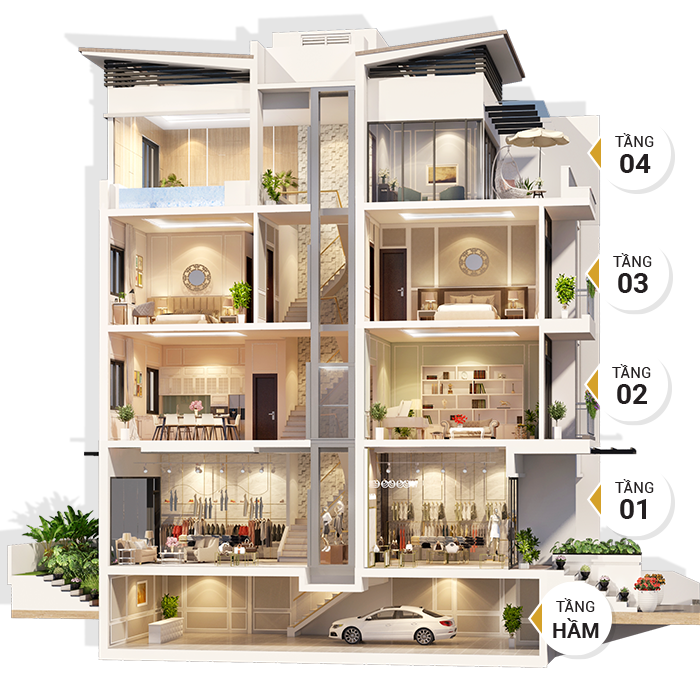Mặt cắt biệt thự